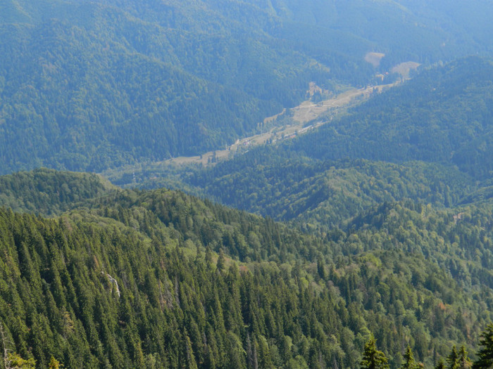 DSCN1390 - 5 VACANTA SEPTEMBRIE 2012