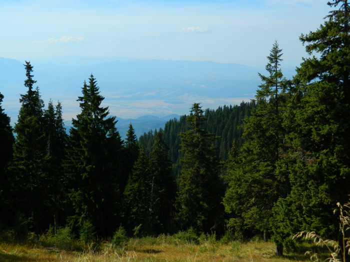 DSCN1417 - 5 VACANTA SEPTEMBRIE 2012