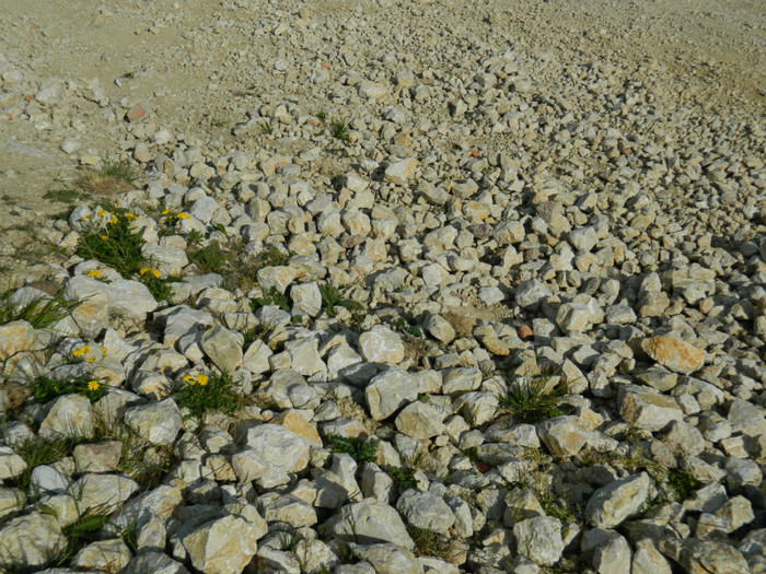 DSCN1427 - 5 VACANTA SEPTEMBRIE 2012