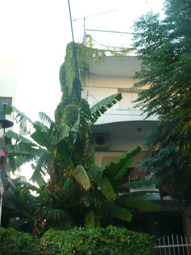 P1070618