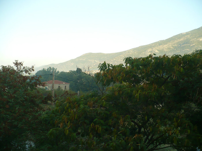 P1070642