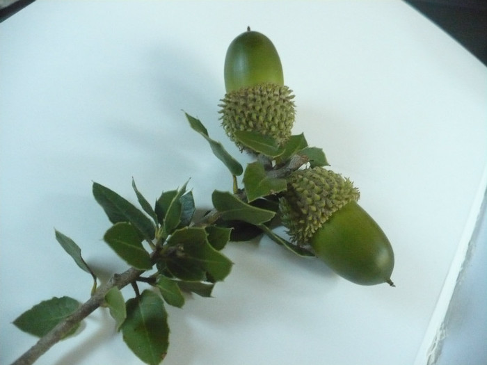 P1070758 - Concediu Grecia 22 - 30 septembrie 2012