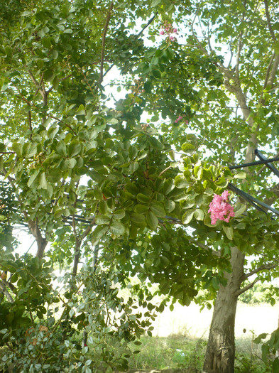 P1070777 - Concediu Grecia 22 - 30 septembrie 2012