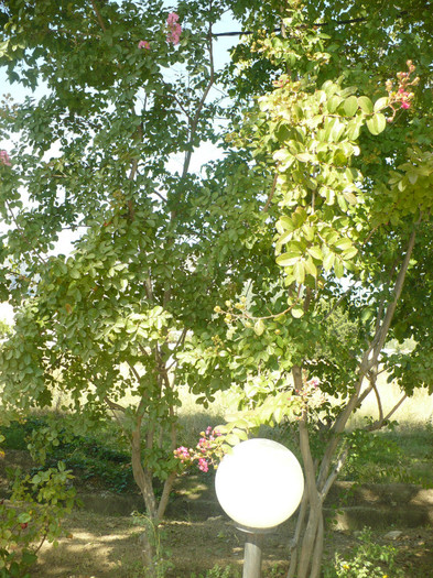 P1070778 - Concediu Grecia 22 - 30 septembrie 2012