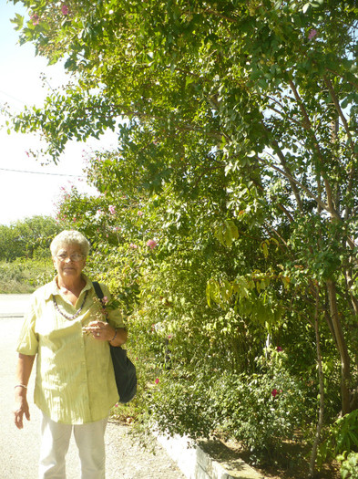 P1070779 - Concediu Grecia 22 - 30 septembrie 2012