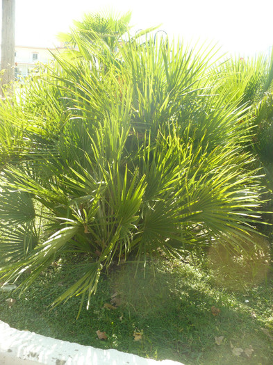 P1070781 - Concediu Grecia 22 - 30 septembrie 2012