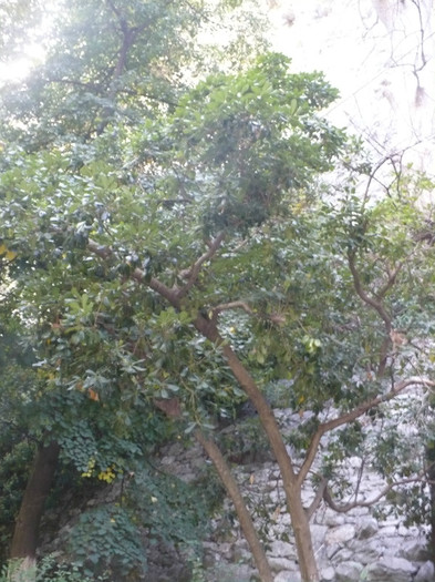 P1070788 - Concediu Grecia 22 - 30 septembrie 2012