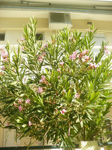 P1070819 - Concediu Grecia 22 - 30 septembrie 2012