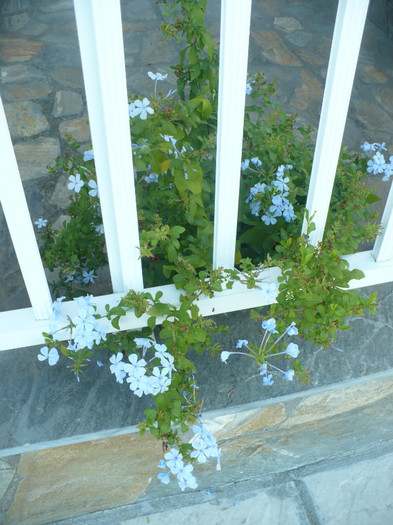 P1070821 - Concediu Grecia 22 - 30 septembrie 2012