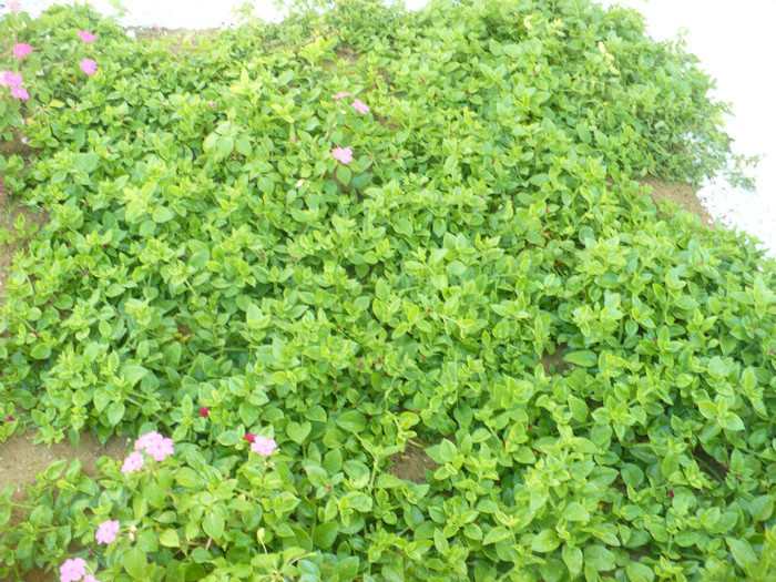 P1070827 - Concediu Grecia 22 - 30 septembrie 2012