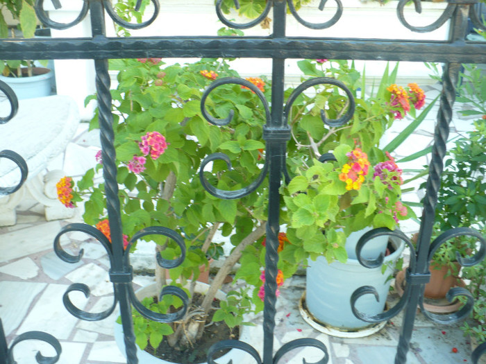 P1070830 - Concediu Grecia 22 - 30 septembrie 2012