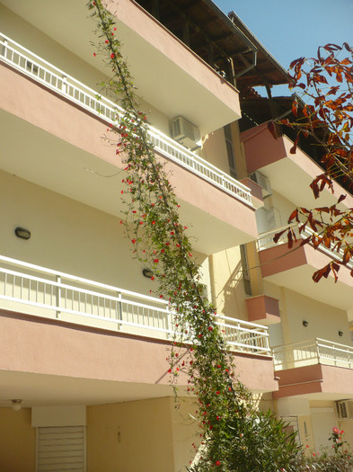 P1070831 - Concediu Grecia 22 - 30 septembrie 2012