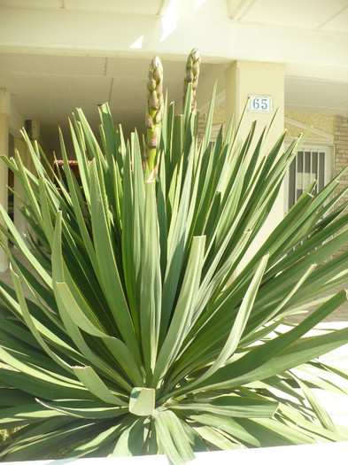 P1070837 - Concediu Grecia 22 - 30 septembrie 2012