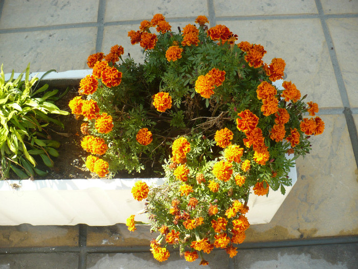 P1070838 - Concediu Grecia 22 - 30 septembrie 2012