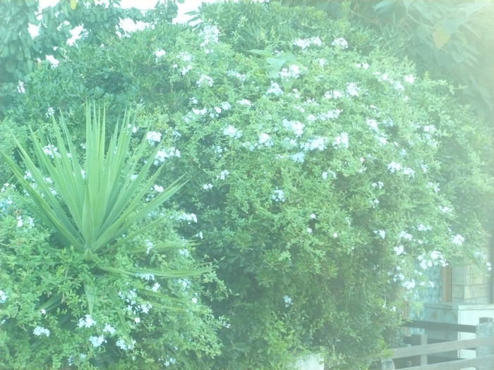 P1070845 - Concediu Grecia 22 - 30 septembrie 2012