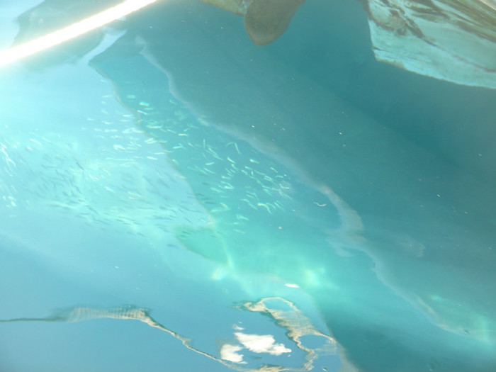 P1070892 - Concediu Grecia 22 - 30 septembrie 2012