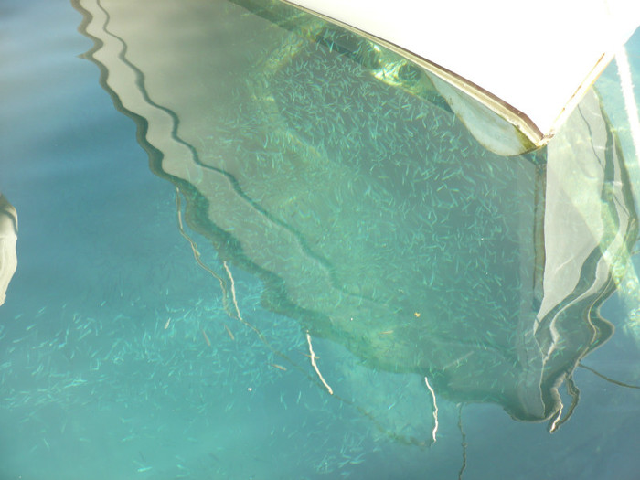 P1070894 - Concediu Grecia 22 - 30 septembrie 2012