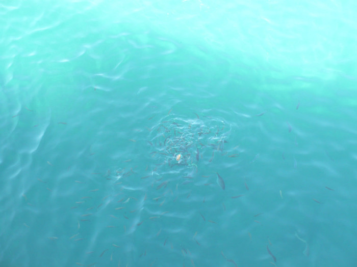 P1070932 - Concediu Grecia 22 - 30 septembrie 2012