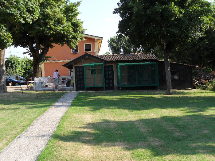 SDC10132