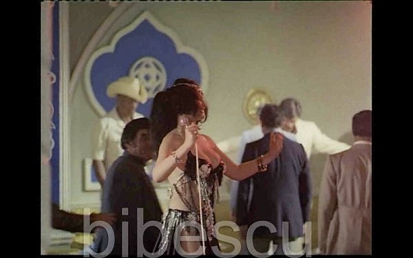 Cuibul Salamandrelor - Cuibul Salamandrelor 1976
