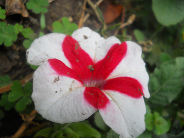 DSCN3539