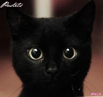 Pol nu era acolo. Pol nu era acolo.