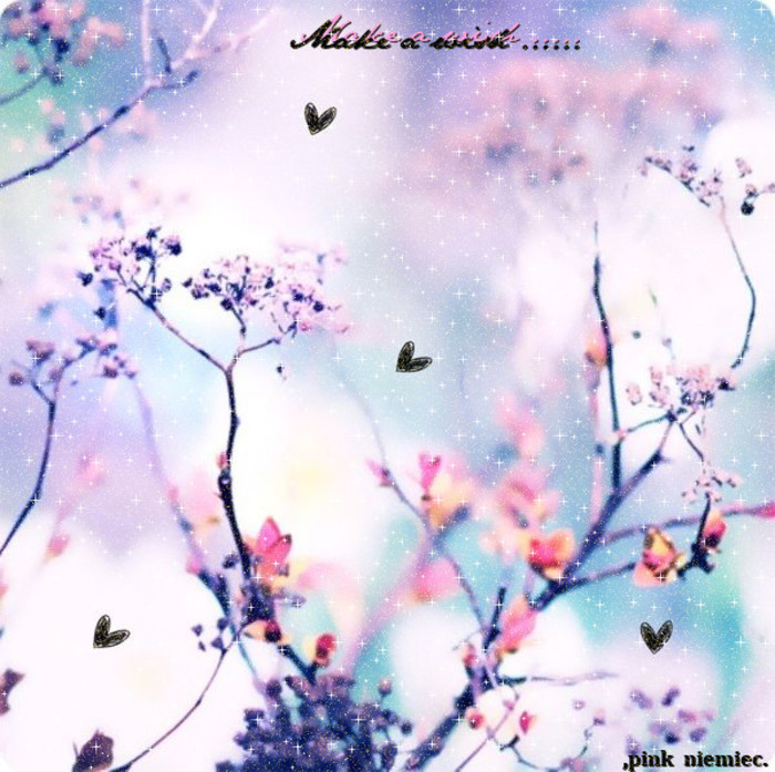 Nu era ploaie, era semnul pe care i-l ceruse mamei sale. Nu era ploaie, era semnul pe care i-l ceruse mamei sale.