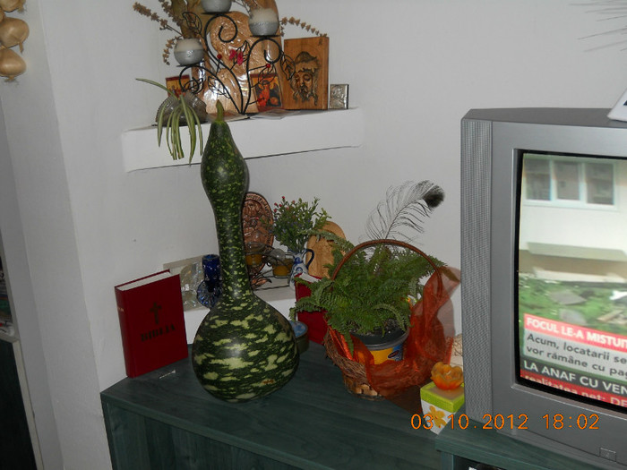 03.10.2012 003 - FLORILE MELE 2012
