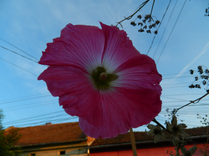 DSCN8472