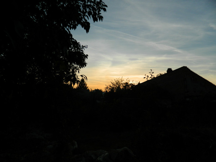 DSCN8500