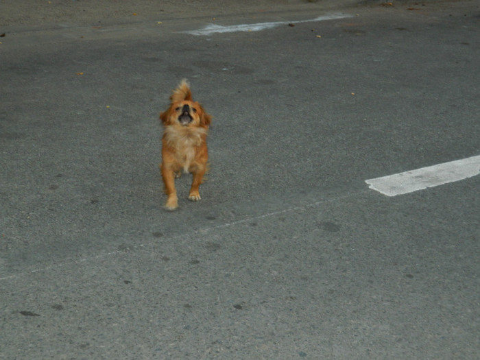 DSCN8536
