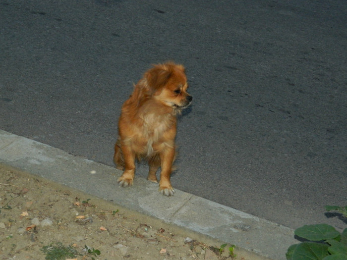 DSCN8540