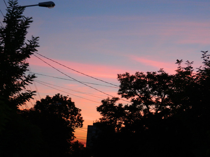 DSCN8541