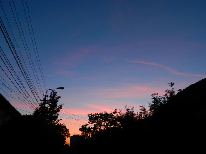 DSCN8542