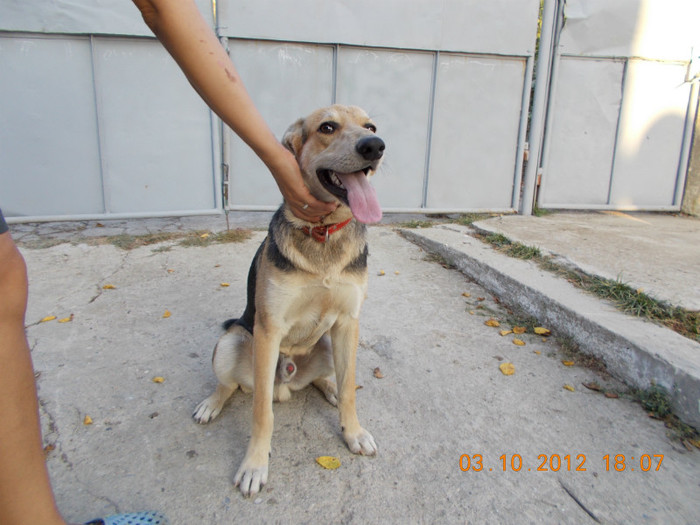 Picture 219 - Sheriff