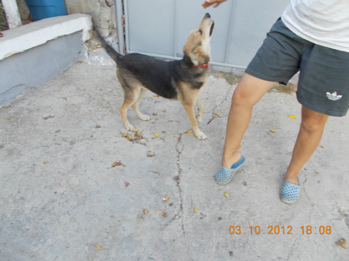 Picture 223 - Sheriff