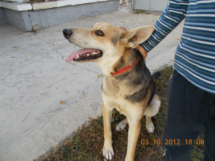Picture 232 - Sheriff