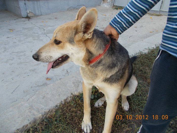 Picture 233 - Sheriff