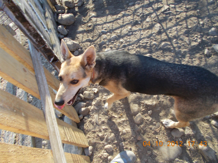 Picture 307 - Sheriff