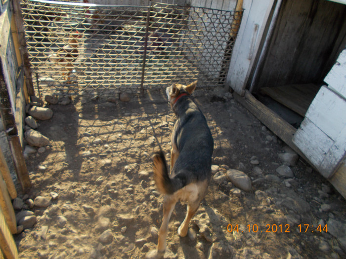 Picture 308 - Sheriff
