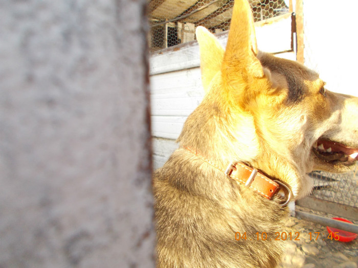 Picture 313 - Sheriff