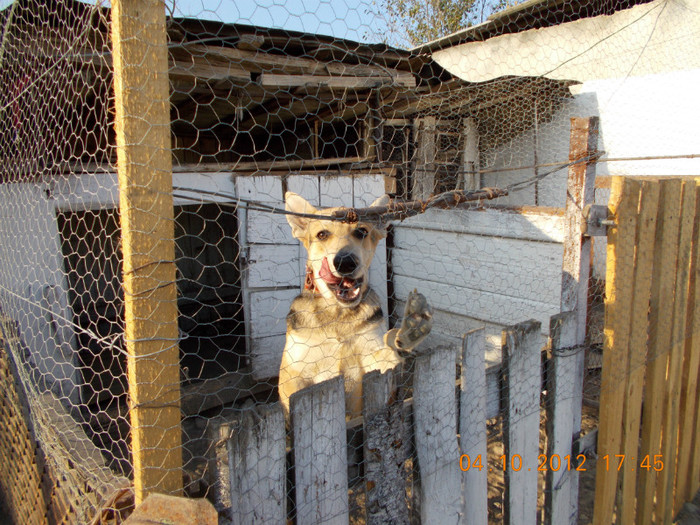 Picture 315 - Sheriff