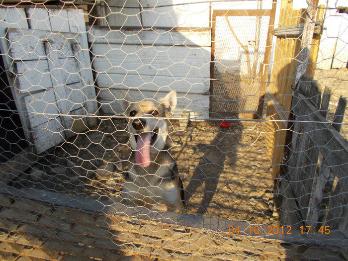 Picture 317 - Sheriff