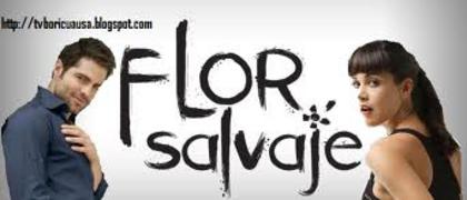 imagesCAPSPO4L - Flor salvaje-Floare salbatica