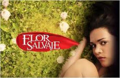 imagesCAYEKYV8 - Flor salvaje-Floare salbatica