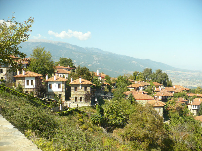 P1080080
