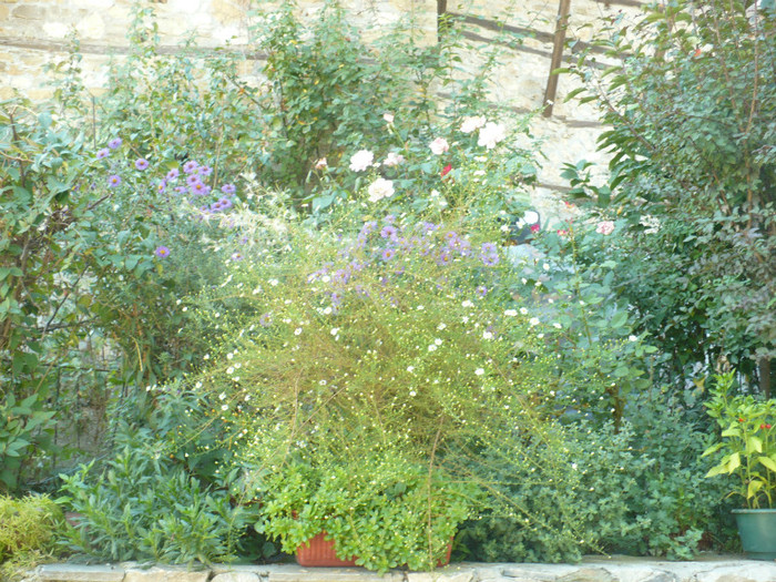 P1080101
