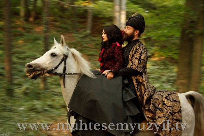 303968_247189632000225_1701803943_n