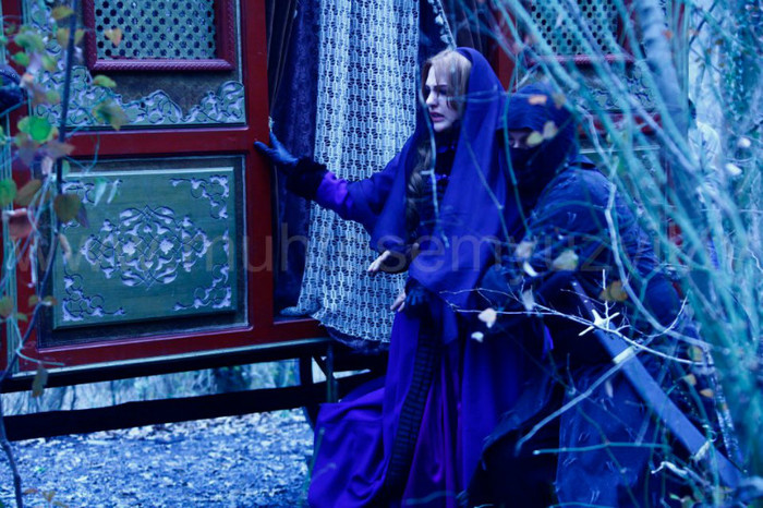 401035_293147274071127_650984410_n