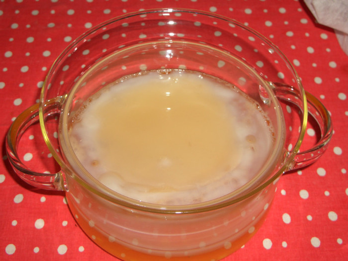 KOMBUCHA pui - KOMBUCHA